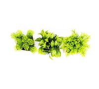 HEITMANN DECO Planta Artificial, Verde/Marrón, Juego de 3, 10 x 10 x 15 cm