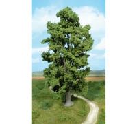 Heki Árbol de Arce acantilado, Altura: 30 cm