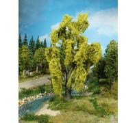 Heki Sauce llorón, Altura: 20 cm