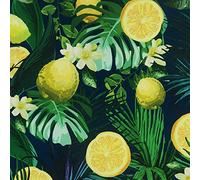 HEKO PANELS Oxford Telas por Metro por Metros - Impermeables para Exterior y Interior - 100% Poliéster - para Resistente al Desgarro y la Suciedad - Limón vendido por Metro - 1 Unidad = 1 m x 1,60 m