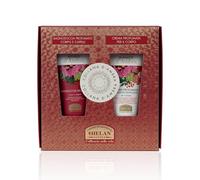 Helan Collan Amber - Set de regalo para mujer con champú y gel de ducha 2 en 1 y crema corporal hidratante perfumada 75 ml. Hecho en Italia.