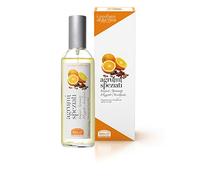 Helan, I Profumi della Casa, Ambientador Casa Spray sin Gas, Fragancia Cítrica - Difusor de Aromas Perfume Especiado con Canela, Limón, Mandarina y Pomelo - Ambientadores de Hogar Made in Italy, 100ml