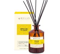 Helan Spicchi di Agrumi - Perfumador de Ambiente, Perfume de Ambiente con Notas de Naranja Dulce Varillas Difusoras - Ideas para Regalos de Perfumadores de Ambiente, 500 ml - Made in Italy