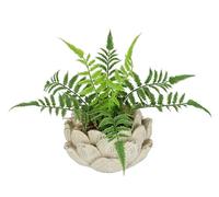 Helecho Artificial en Maceta de 20 cm, Helecho Boston, Planta en Maceta, arbustos, Plantas, Flores, como Real, decoración, Planta Verde, Planta Artificial, Planta Artificial, Planta de Bosque, Planta