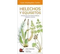 Helechos, equisetos y licopodios – Guías desplegables – Tundra