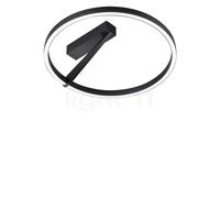 Helestra Elara, lámpara de techo LED, negro