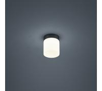 Helestra Keto plafón LED, cilindro, negro