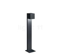 Helestra Siri 44, sobremuro LED, grafito