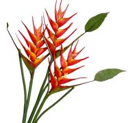 Heliconia - Flores artificiales de ave del paraíso, paquete de 3, 25 pulgadas de altura, rojo/naranja, para decoración del hogar y la oficina (naranja)
