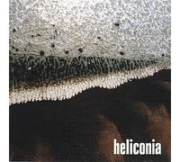 Heliconia - Glad You Were Born