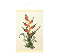 Heliconia - Lienzo decorativo para colgar en la pared, diseño botánico de hojas de helecho tropical N/A verde, impresiones artísticas para apartamentos, sala de estar, dormitorio, 20 x 28 pulgadas