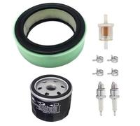 Helilyco Kit de ajuste de cartucho de filtro de aire para Vanguard para motores gemelos V-incluye aire, para pre, aceite y para filtros de combustible, para chispa, abrazaderas de tubería (compatible