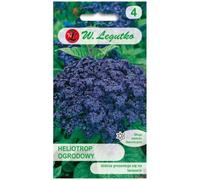 Heliotropo de jardín - azul oscuro