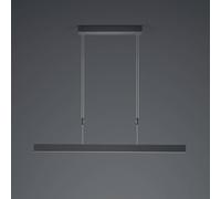 HELL Lámpara colgante LED Delta, 100 cm, negra True