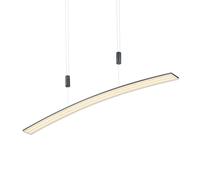 HELL Lámpara colgante LED New Loire, antracita True