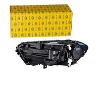HELLA 1EX 015 390-721 Matrix-Faro principal