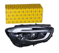 HELLA 1EX 015 558-521 Matrix-Faro principal