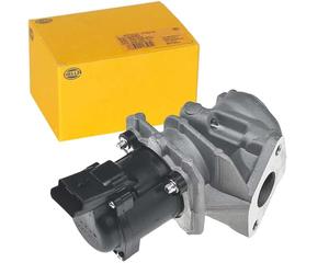 HELLA 6NU 010 171-101 Válvula EGR - 12V - eléctrico - con junta - con abrazadera