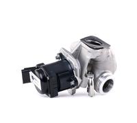 HELLA 6NU 010 171-101 Válvula EGR