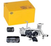 HELLA 6NU 010 171-181 Válvula EGR - electroneumático - con juntas/con radiator EGR