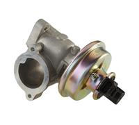 HELLA 6NU 010 171-251 Válvula EGR