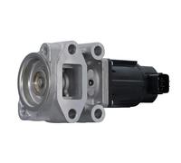 HELLA 6NU 014 864-911 Válvula EGR - 12V - eléctrico - 5polos - sin junta
