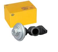 HELLA 6NU 014 864-951 Válvula EGR - neumático - con juntas