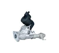 HELLA 6NU 014 864-981 Válvula EGR - 12V - eléctrico - 5polos - con juntas