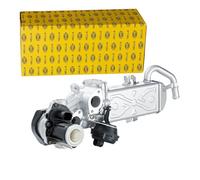 HELLA 6NU 358 167-001 Módulo EGR - eléctrico - 5polos - con juntas/con radiator EGR - con válvula EGR