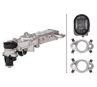 HELLA 6NU 358 167-001 Módulo EGR - eléctrico - 5polos - con juntas/con radiator EGR - con válvula EGR