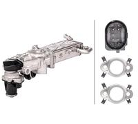 HELLA 6NU 358 167-021 Módulo EGR - eléctrico - 5polos - con juntas/con radiator EGR - con válvula EGR