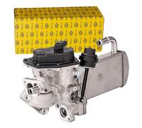 HELLA 6NU 358 167-031 Módulo EGR - eléctrico - 5polos - con juntas/con radiator EGR - con válvula EGR