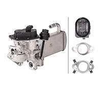 HELLA 6NU 358 167-031 Módulo EGR - eléctrico - 5polos - con juntas/con radiator EGR - con válvula EGR