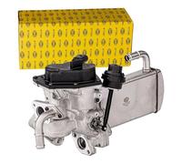 HELLA 6NU 358 167-041 Módulo EGR - eléctrico - 5polos - con juntas/con radiator EGR - con válvula EGR