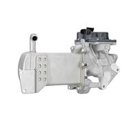 HELLA 6NU 358 167-061 Módulo EGR - 12V - eléctrico - 5polos