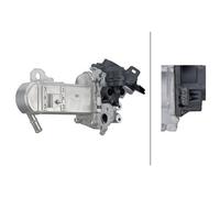 HELLA 6NU 358 167-071 Módulo EGR - 12V - eléctrico - 5polos - con radiator EGR/con juntas - con válvula EGR