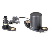 HELLA 6PR 008 891-011 Sensor, nivel de aceite del motor - 1polos - con junta