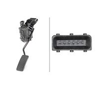 HELLA 6PV 010 946-051 Sensor, posición pedal - para vehíc. dirección a la derecha - 6polos - Caja de cambios manual - Letra ident.: BM