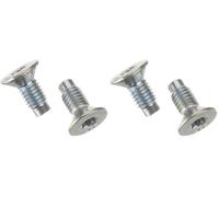 HELLA 8DZ 355 209-041 Tornillo, disco de freno PAG0004-17mm - M8x1,25 - Torx interior (Paquete de 2)