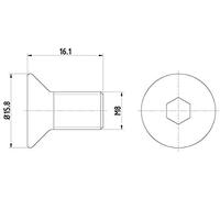 HELLA 8DZ 355 209-061 Tornillo, disco de freno PAG0006 - 16.1mm - M8x1,25 - Hexágono interior