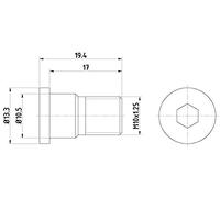 HELLA 8DZ 355 209-071 Tornillo, disco de freno PAG0007 - 19.4mm - M10x1,25 - Hexágono interior