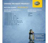 HELLA 8FK 366 200-121 Compresor, aire acondicionado - SD6V12-12V - R 134 a - PAG 46-115ml - con acoplamiento magnético/con junta tórica/con aceite de compresor PAG