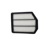 HELLA 8ZA 366 135-921 Filtro de aire Cartucho filtrante Compatible con KIA CARENS III UN MAGENTIS MG
