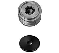 HELLA 9XU 358 038-431 Rueda libre alternador - Medida de rosca: M16x1,5 - Número de canales: 6 - con caperuza