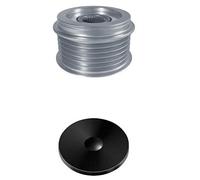 HELLA 9XU 358 038-971 Rueda libre alternador - Medida de rosca: M16x1,5 - Número de canales: 6 - con caperuza