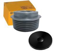 HELLA 9XU 358 039-071 Rueda libre alternador - Medida de rosca: M14x1,5 - Número de canales: 6 - con caperuza