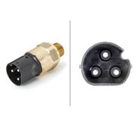 HELLA Interruptor de temperatura, ventilador del radiador para BMW: Série 7, Série 5, M5, Série 3, M3, Série 8, Série 6, Z3 (Ref: 6ZT 007 837-001)
