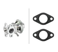 HELLA Válvula EGR para IVECO: Daily & FIAT: Ducato (Ref: 6NU 010 171-481)