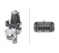 HELLA Válvula EGR para PEUGEOT: 207, 5008, 3008, 208, 301, 508, 308, 207+ & CITROËN: C5, DS3, DS5, C3, Berlingo, DS4 (Ref: 6NU 010 171-181)