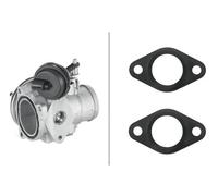 HELLA Válvula EGR para VOLKSWAGEN: New Beetle, Polo, Golf, Lupo, Bora, Caddy & SKODA: Octavia, Fabia & SEAT: Cordoba, Ibiza (Ref: 6NU 010 171-311)